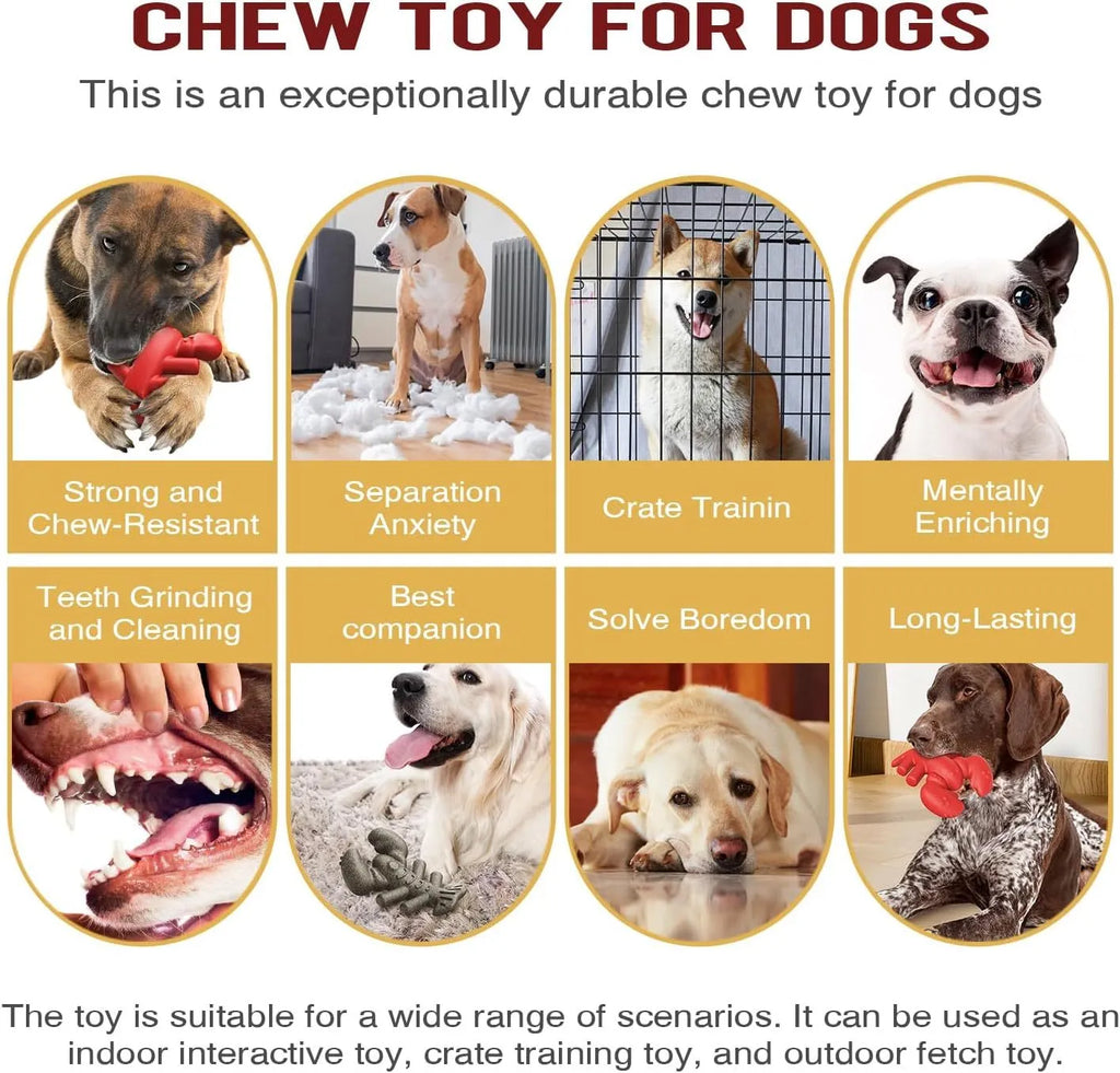 Red large Nylabone dog chew toy for aggressive chewers and dental care