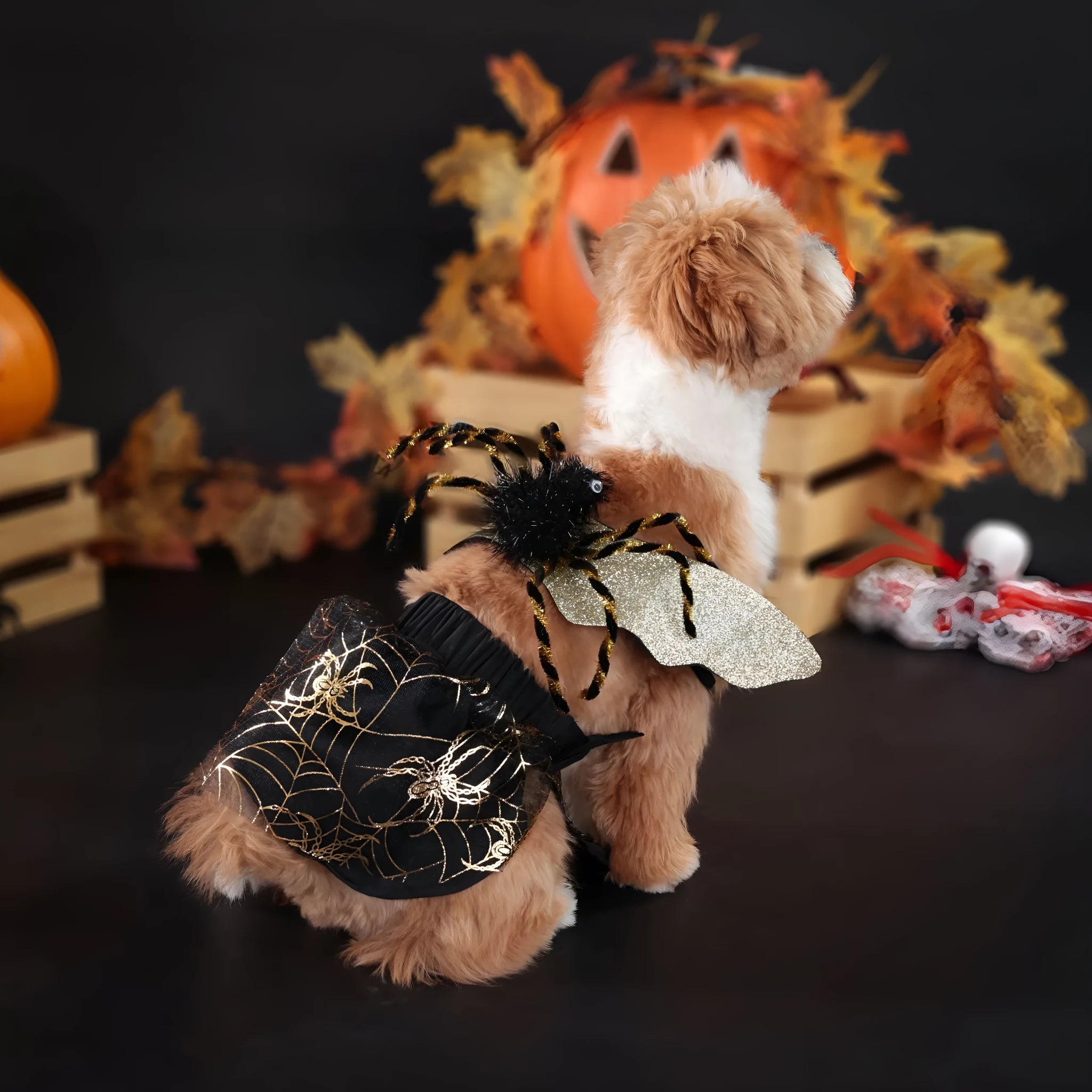 A dog wearing a black and white polyester suit costume for Halloween.