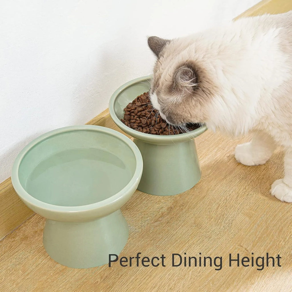 Extra wide elevated ceramic cat food bowl in blue green pink or white colour