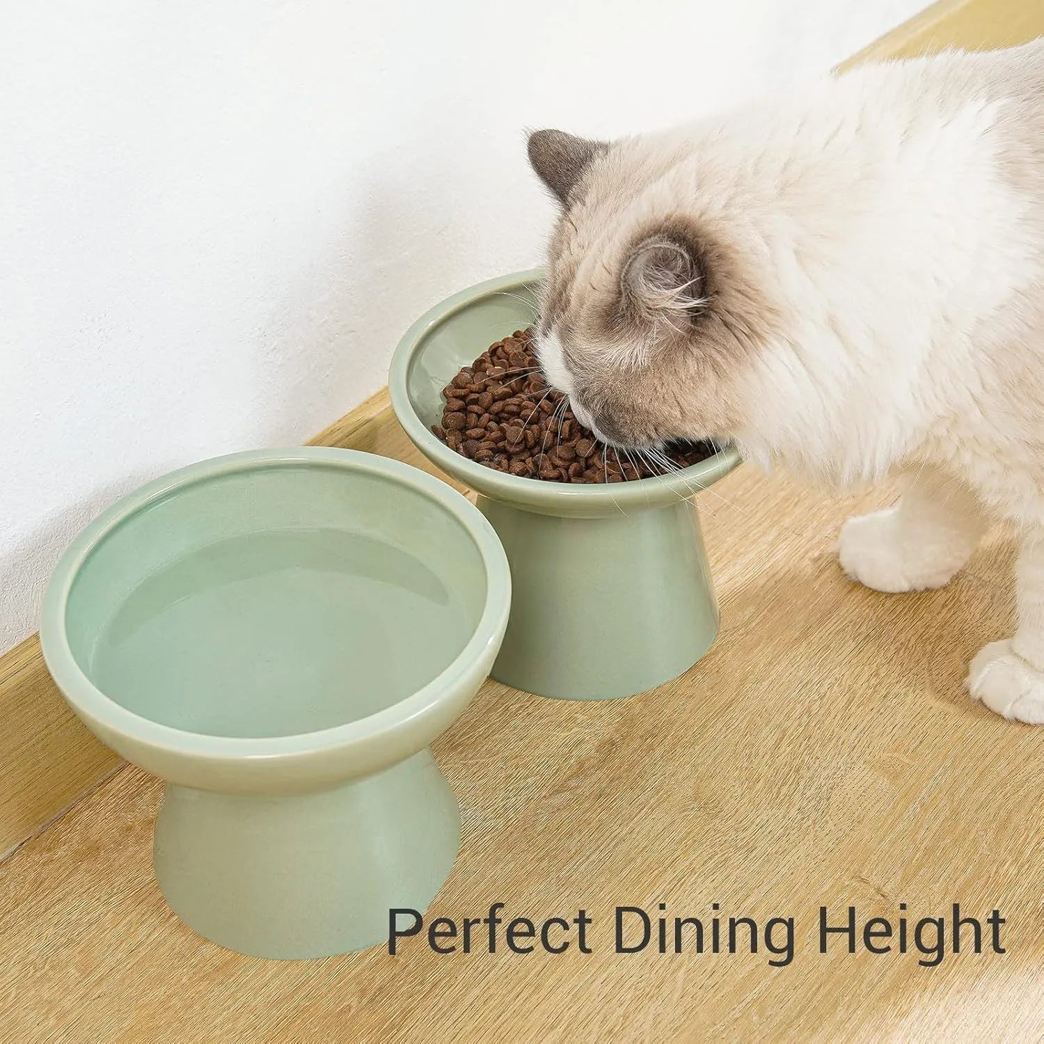 Extra wide elevated ceramic cat food bowl in blue green pink or white colour
