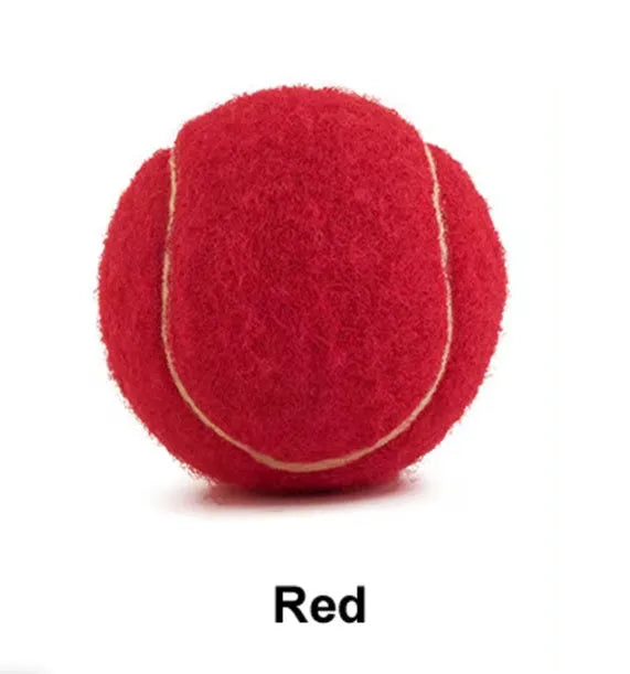6.3 cm diameter solid rubber dog tennis ball in assorted bright colours on a green lawn.