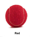 6.3 cm diameter solid rubber dog tennis ball in assorted bright colours on a green lawn.