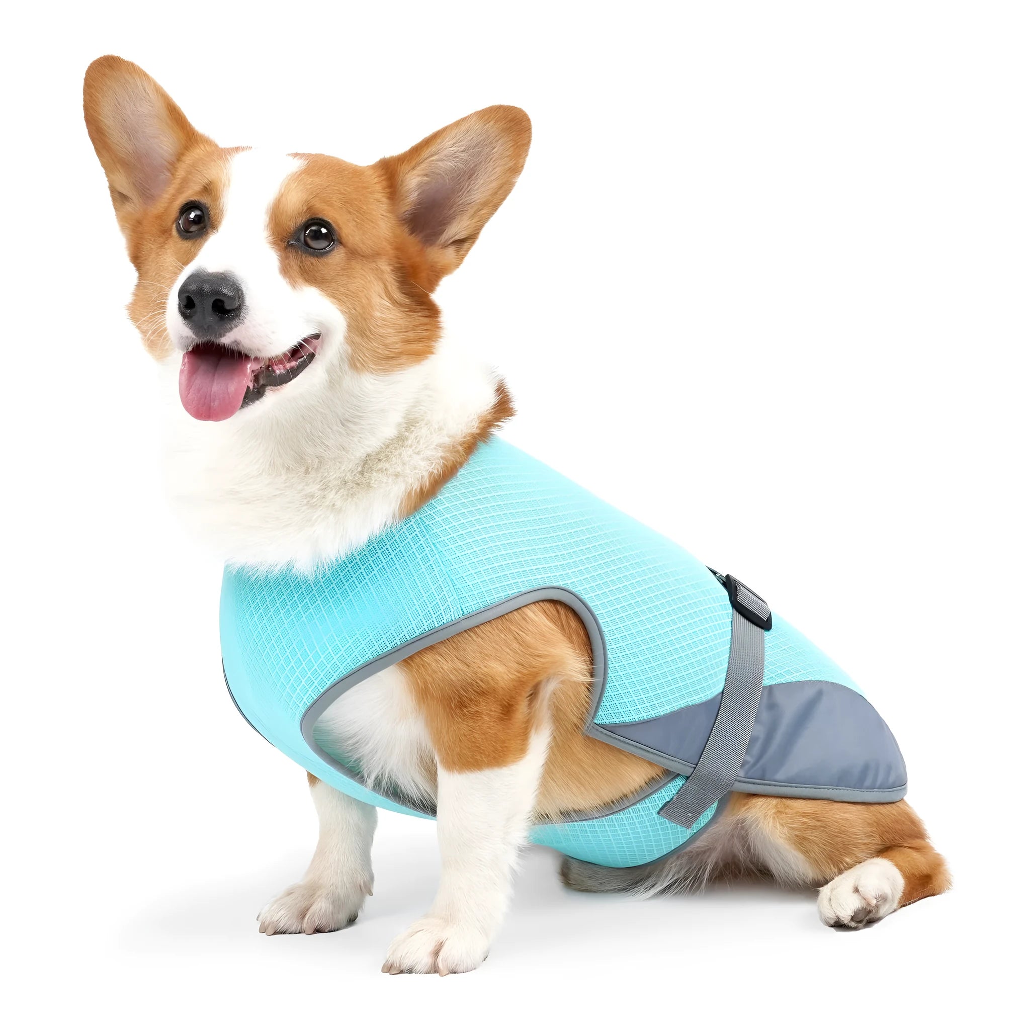 Polyester dog cooling vest for heatstroke prevention in summer with breathable fabric