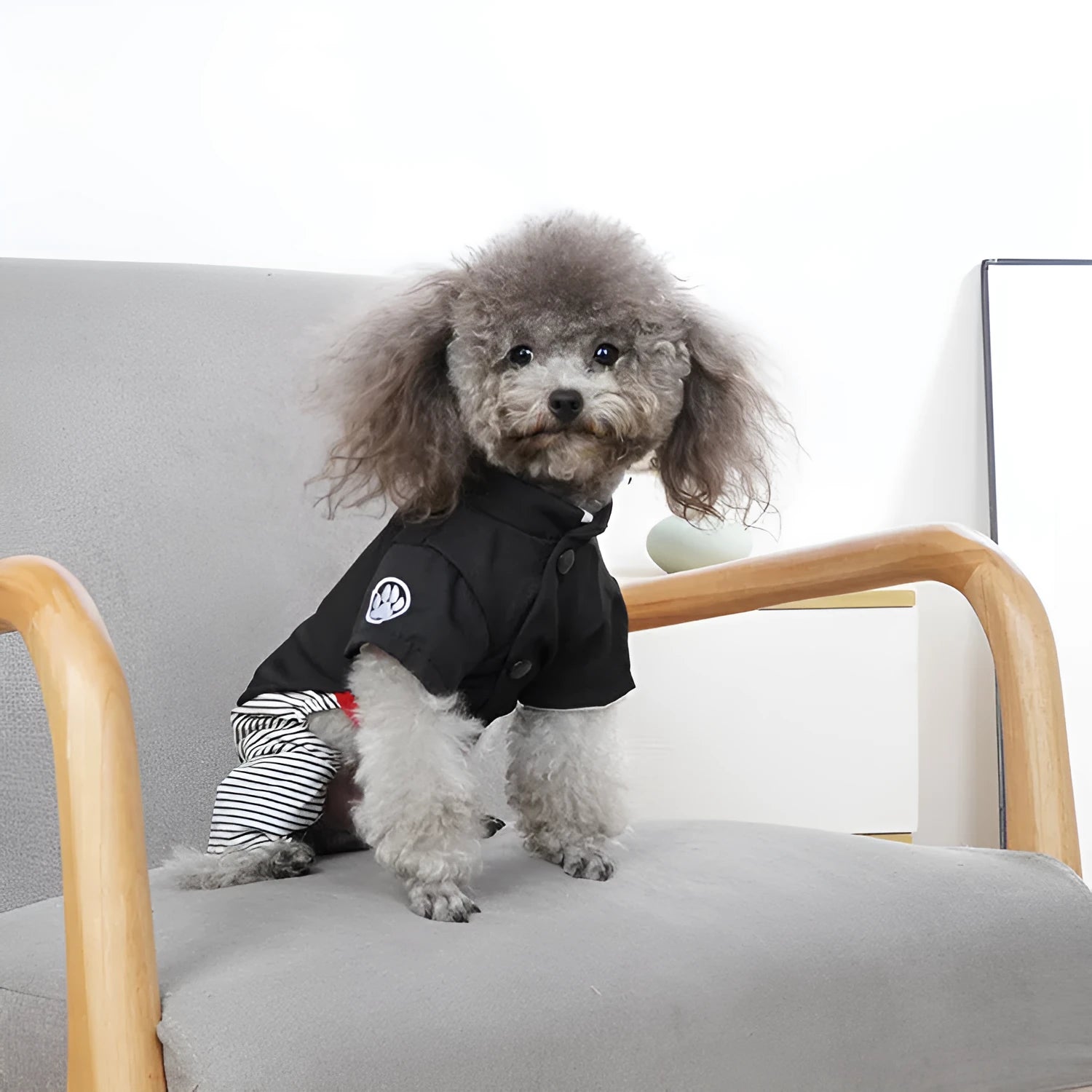 Thin cotton poodle dog clothes available in four-foot pants or skirt styles for summer seasonal wear
