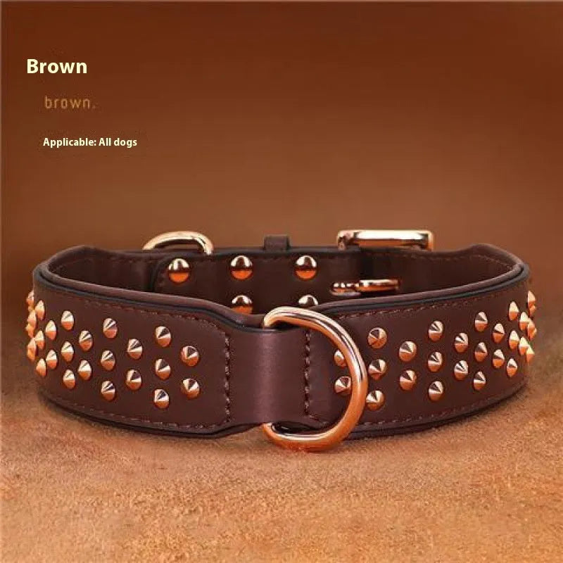 Leather dog collar with metal rivet studs in chocolate colour, shown on a size label.