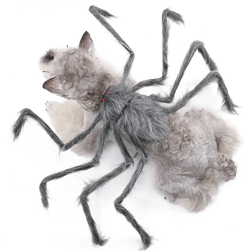 Halloween spider costume for pets in multiple colour options