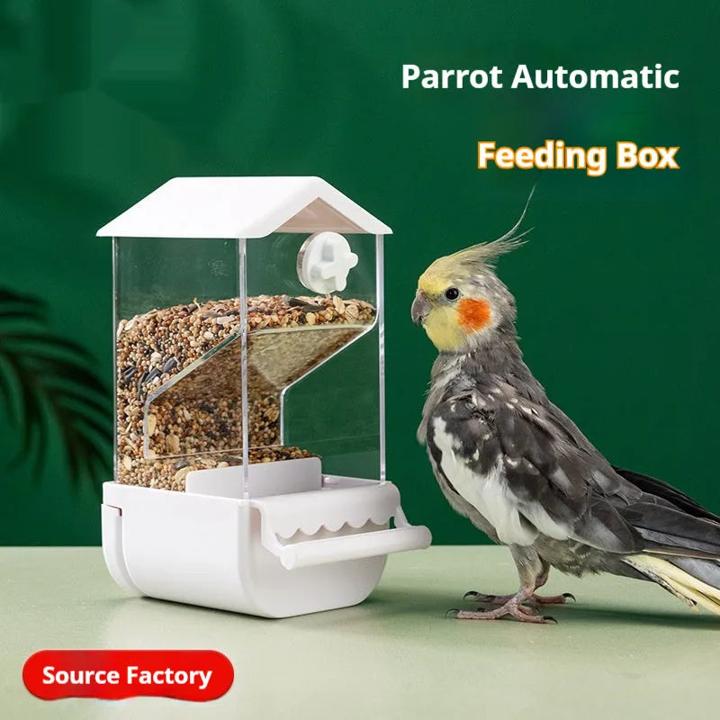 Parrot automatic pet feeder plastic acrylic dome small size white green yellow transparent long ladder