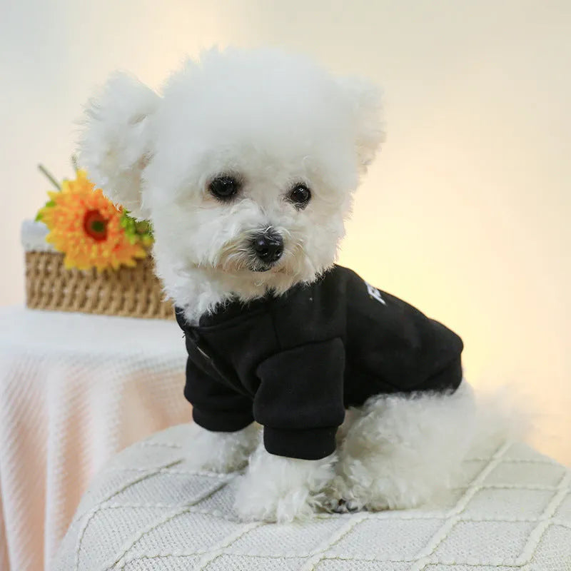 Pet clothing traction sweater in black with open button design for dogs and cats on neutral background