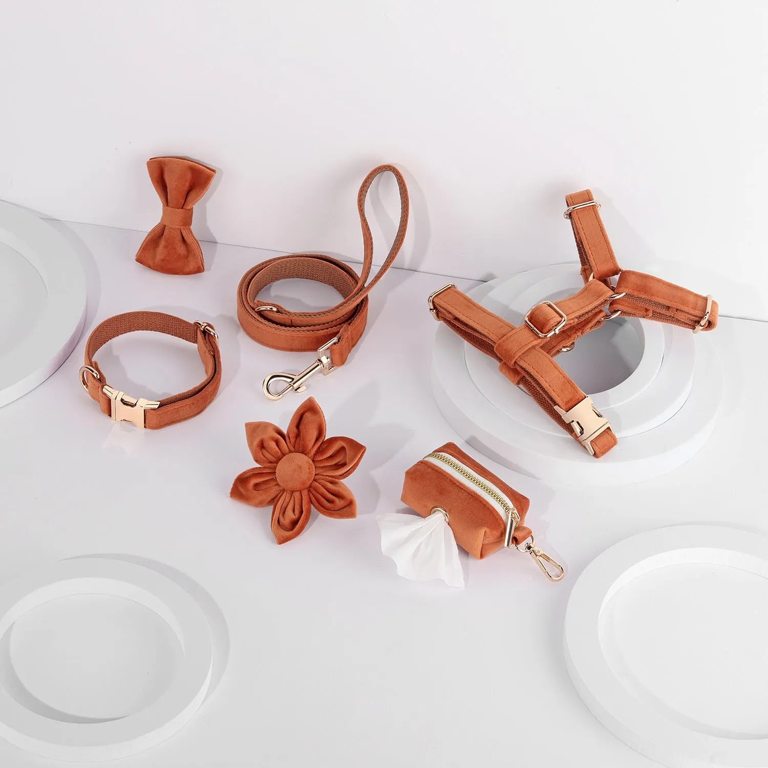 Classic velvet pet collar and traction rope set with matching bow tie, flower and accessories