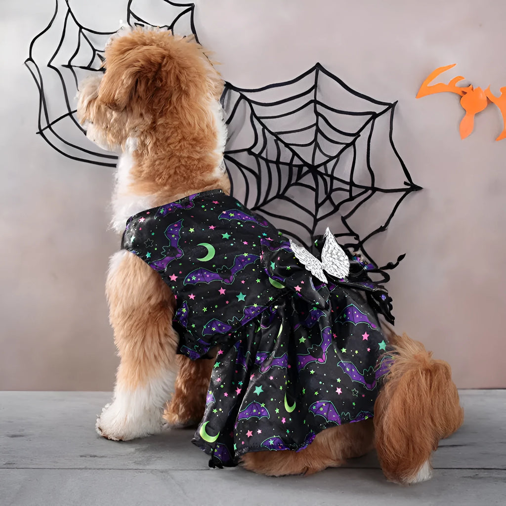Angel wings Halloween dog costume in bright pumpkin colour, size medium on standing dog
