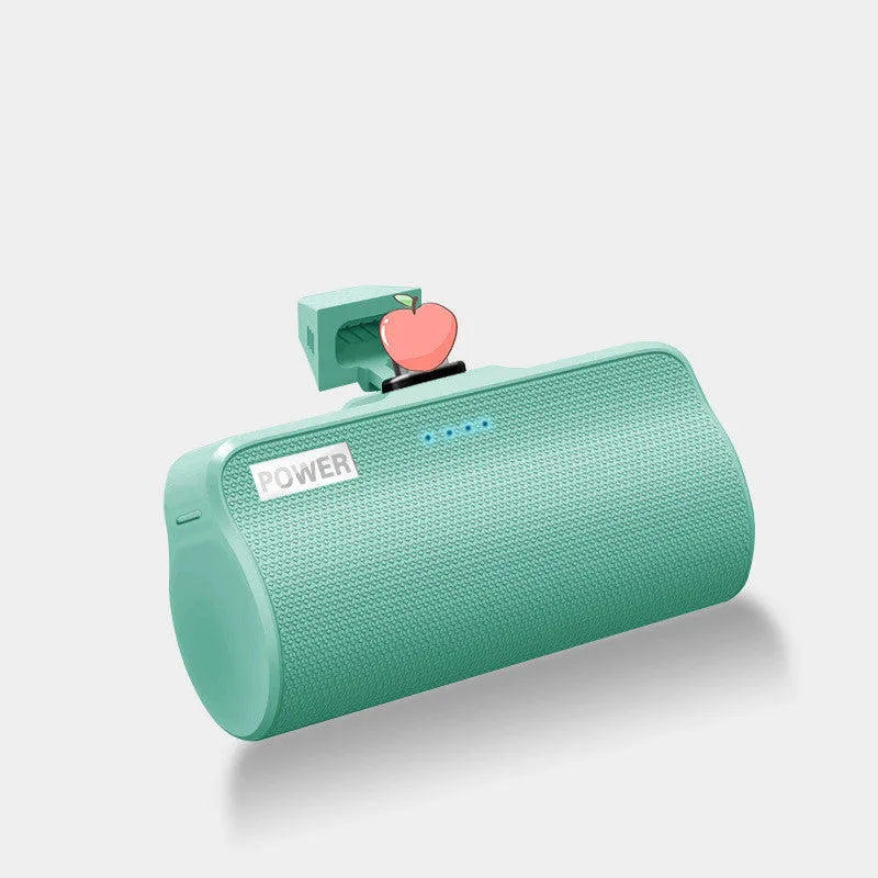Universal power bank with ABS plastic casing and 3000mAh polymer lithium ion battery capacity
