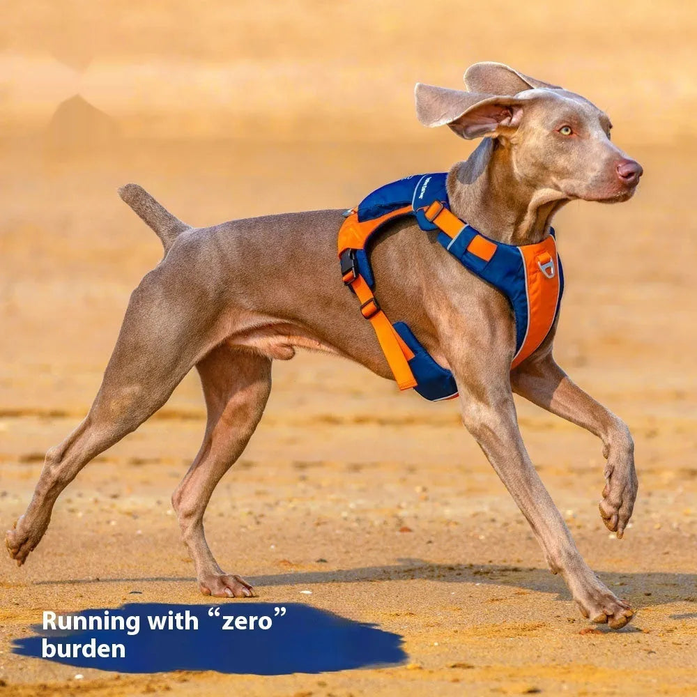 Orange and blue nylon dog chest strap vest harness shown on a model.