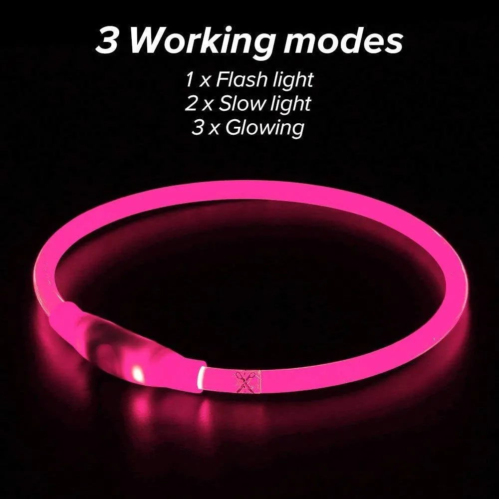 Blue USB rechargeable LED dog collar glowing around a dog's neck at night.