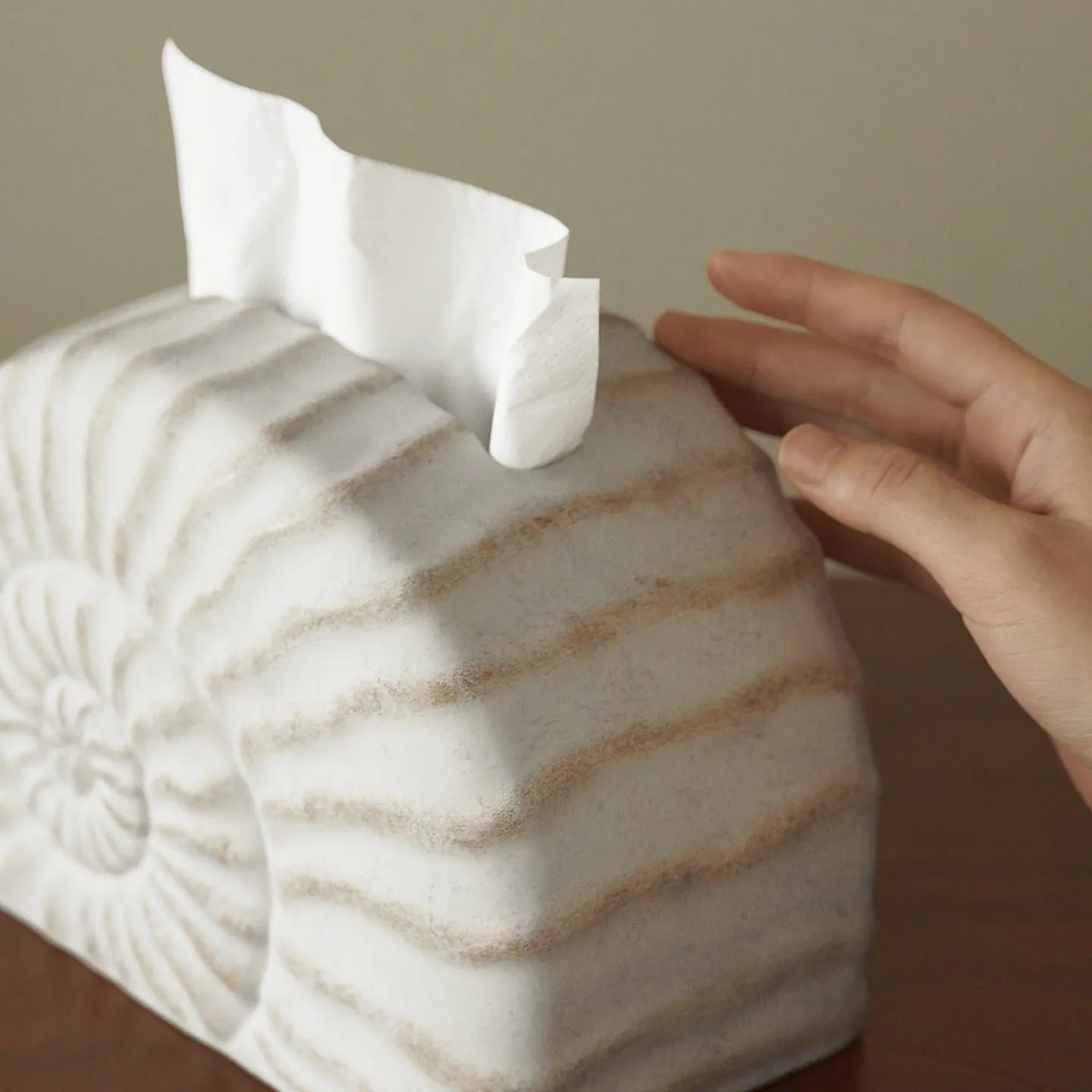 Conch ramble coloured resin decorative tissue box cover with a modern simple design.