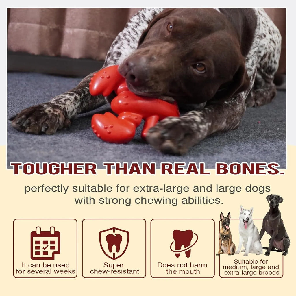 Red large Nylabone dog chew toy for aggressive chewers and dental care