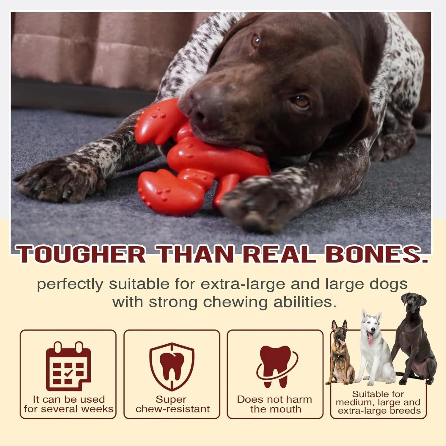Red large Nylabone dog chew toy for aggressive chewers and dental care