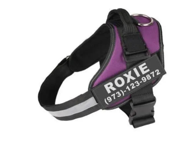 Personalised reflective no-pull dog harness in nylon with adjustable chest strap and sturdy handle