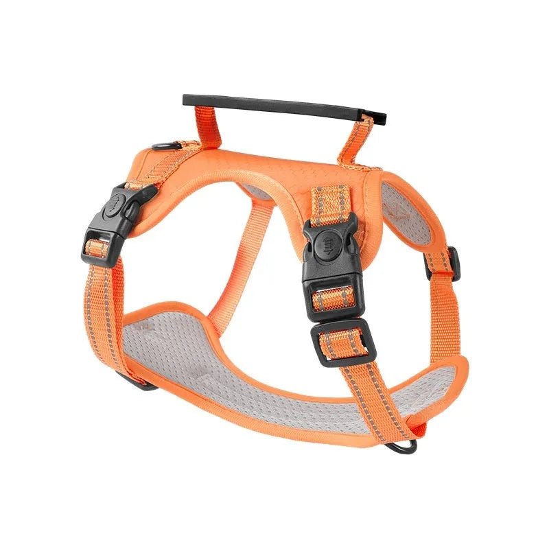 Polyester dog chest harness and lead set in multiple colours including Lake Blue, pink, and yellow
