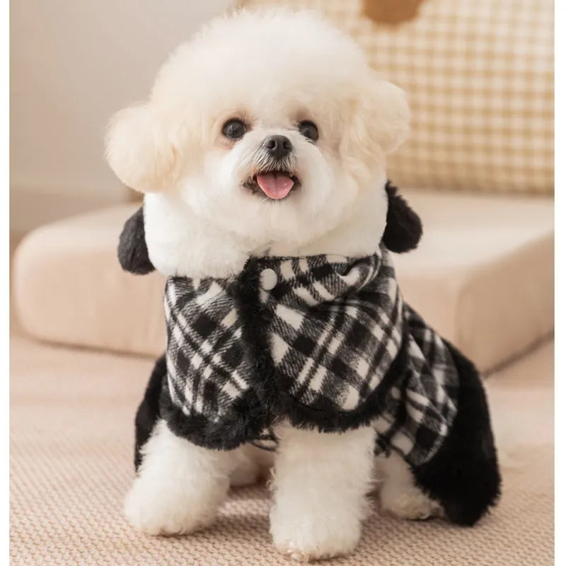 Two-piece dog clothes set with hooded cape and dress in black colour featuring velvet bow