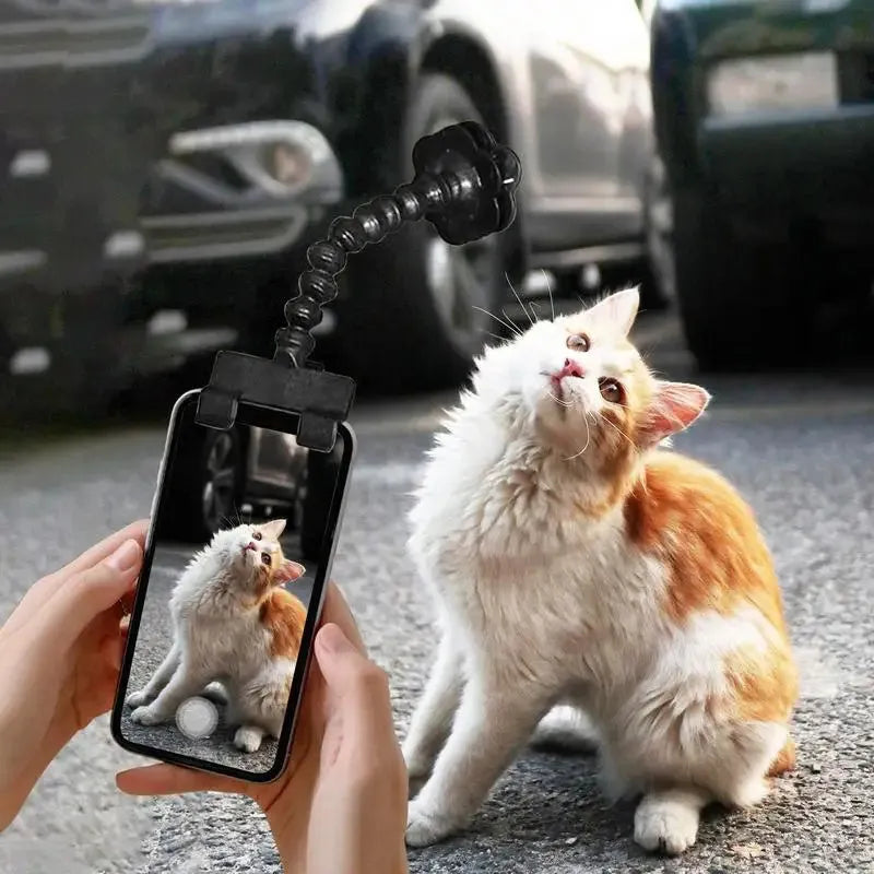 Black and white pet photography phone holder with snack grip and 360-degree rotation