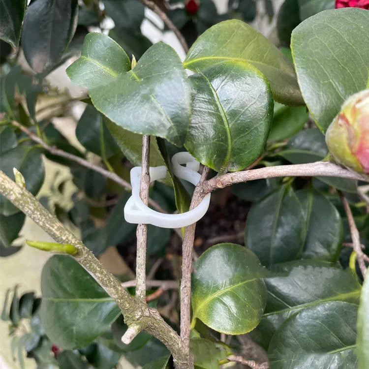 Plastic cat-shaped plant clip for gardening in green, red, white or yellow
