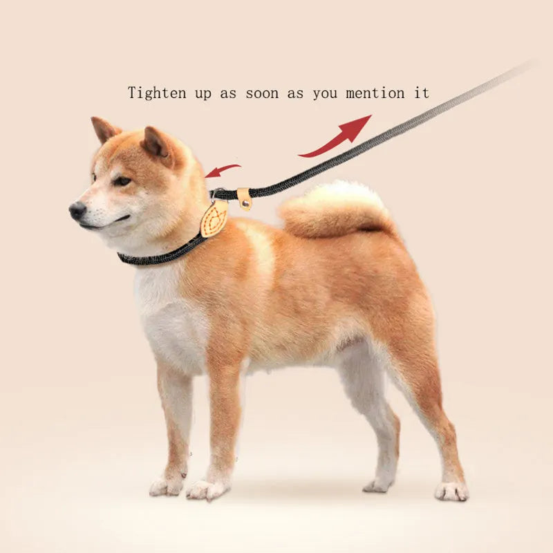 Rope dog training leash with integrated automatic tightening collar for blast race exercises