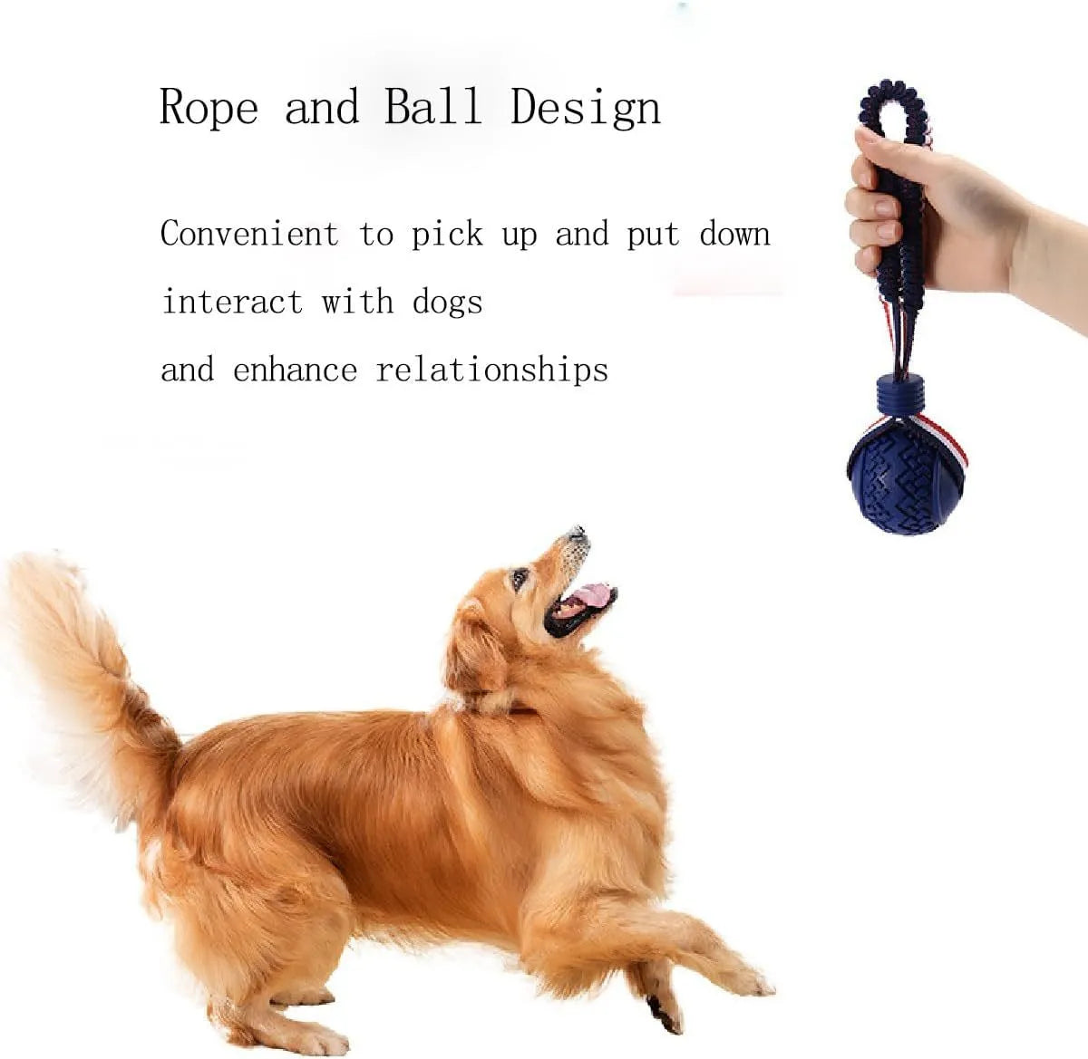 Blue dog ball with rope toy showing textured rubber surface and rope attachment for small breed dogs