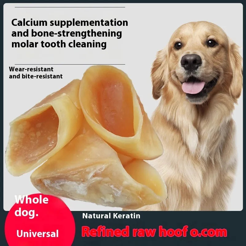 Cowhide dog chew rod in natural hoof shell colour shown in two sizes for small and large dogs