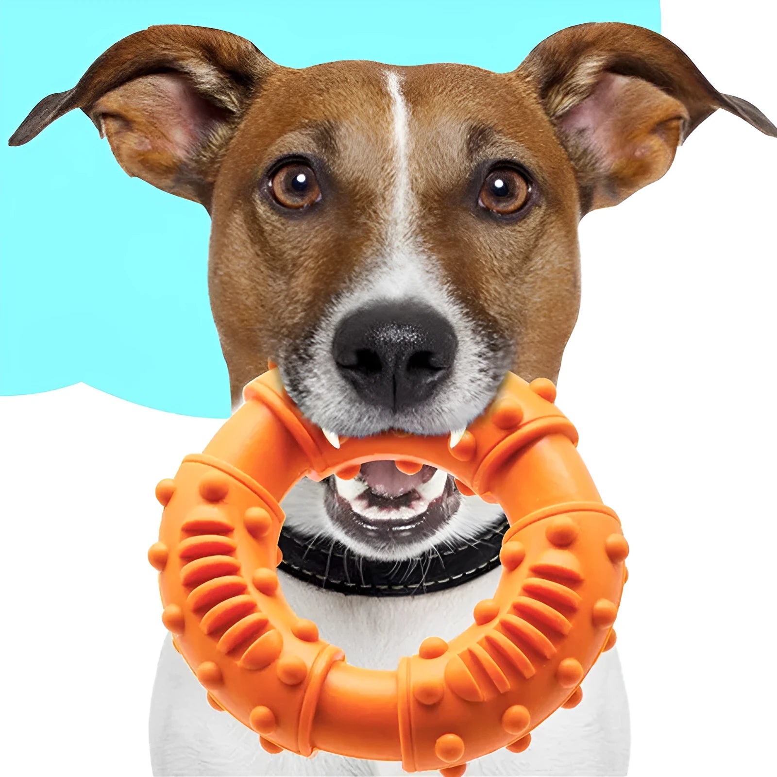 Dog fetching stick toy in blue, orange or red colours with lightweight hollow design for fetch games and water play