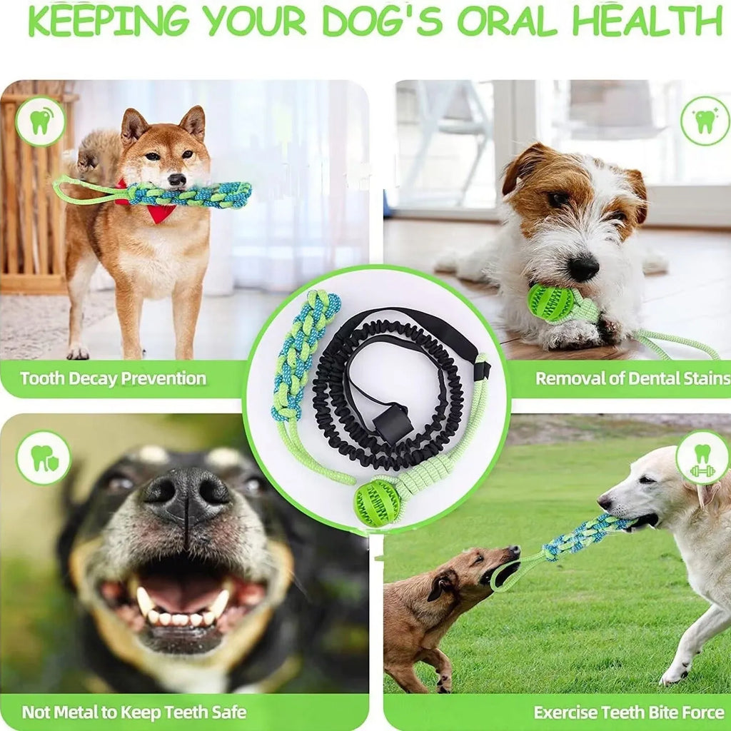 Cotton dog tug rope toy in green corncob design for bite and pull play