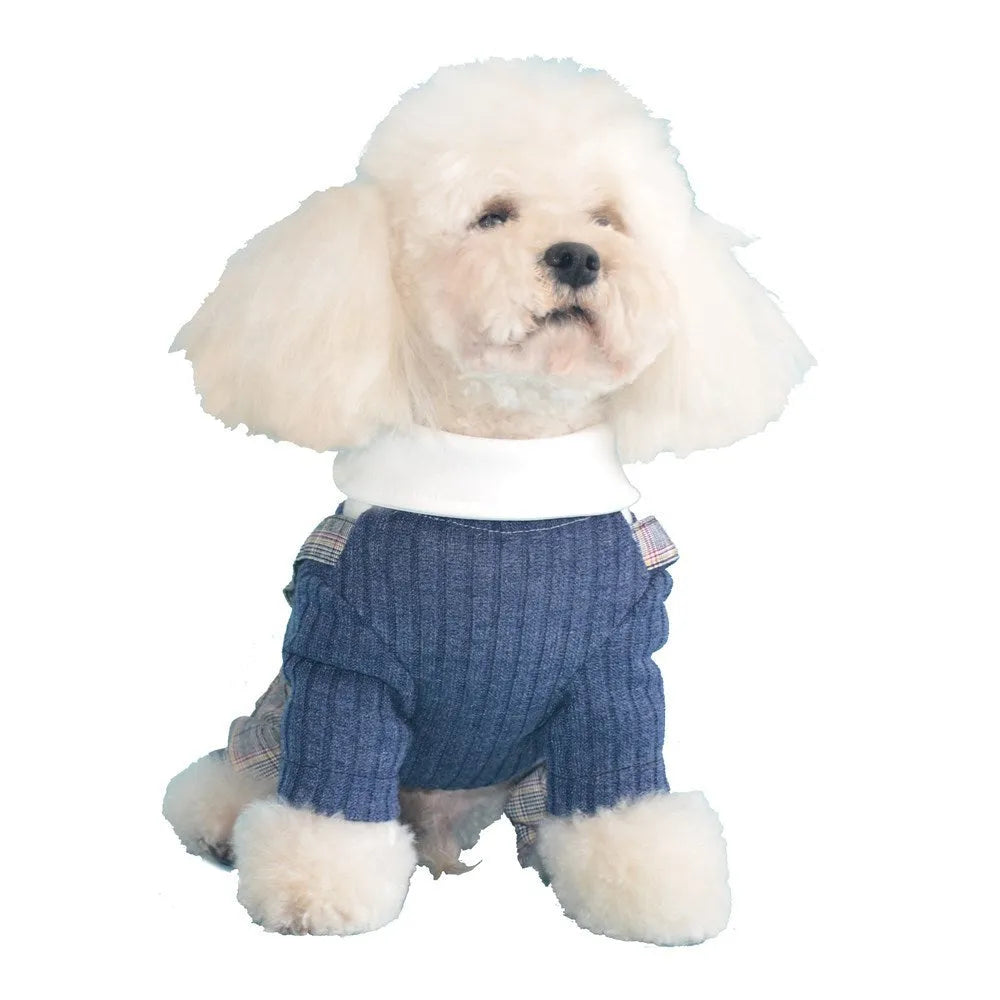 Orange cotton dog suit shirt with collar and buttons on a small dog