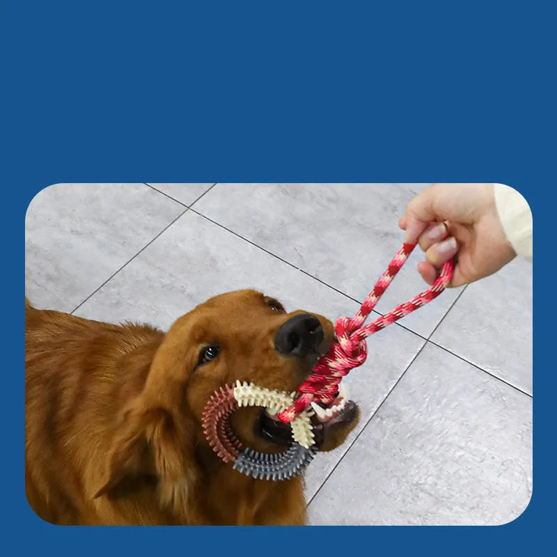 43 cm long braided rope dog chew toy with multiple knots in Blue, Red, and Rose Red colour options