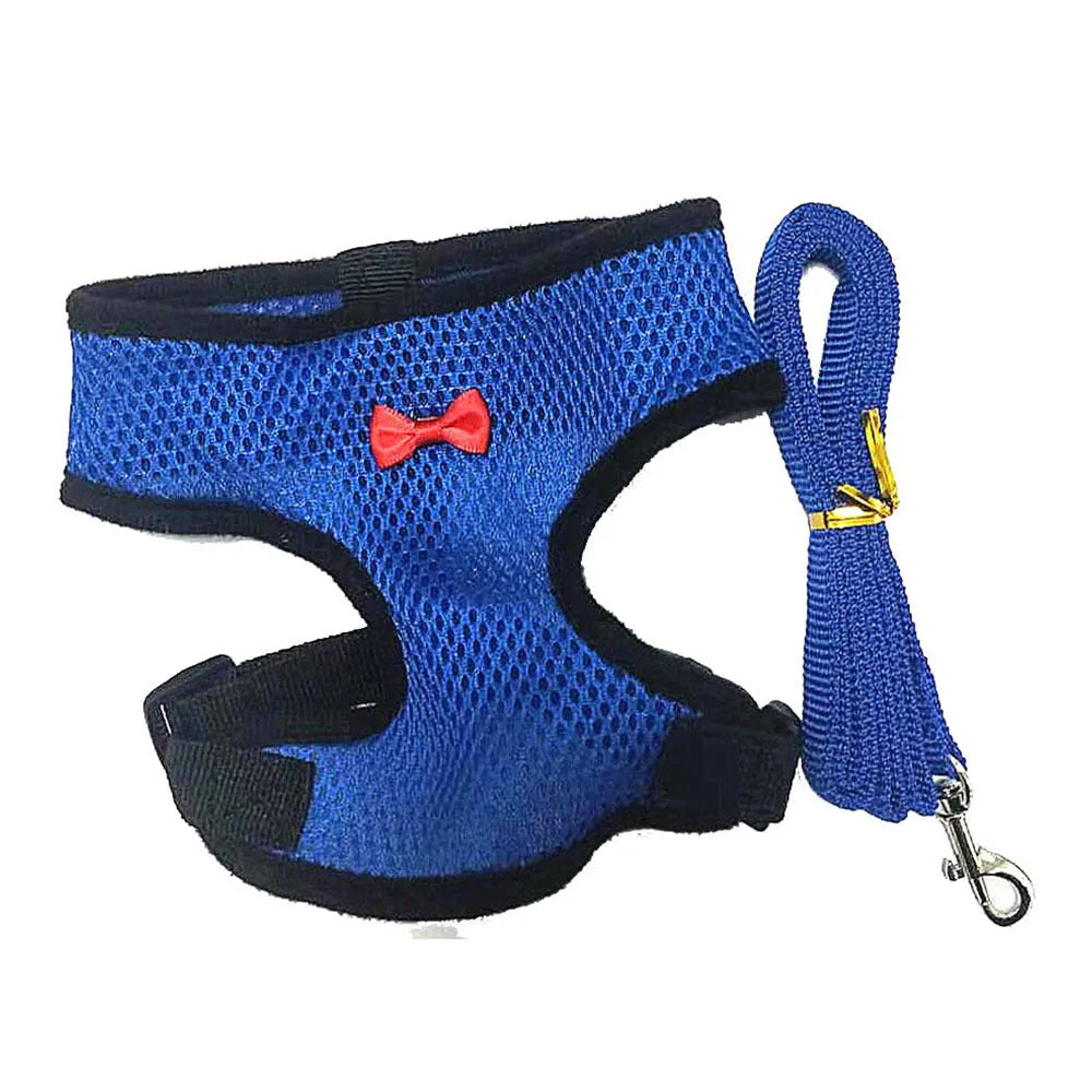 Chicken wearing mesh harness vest with decorative collar and control rope