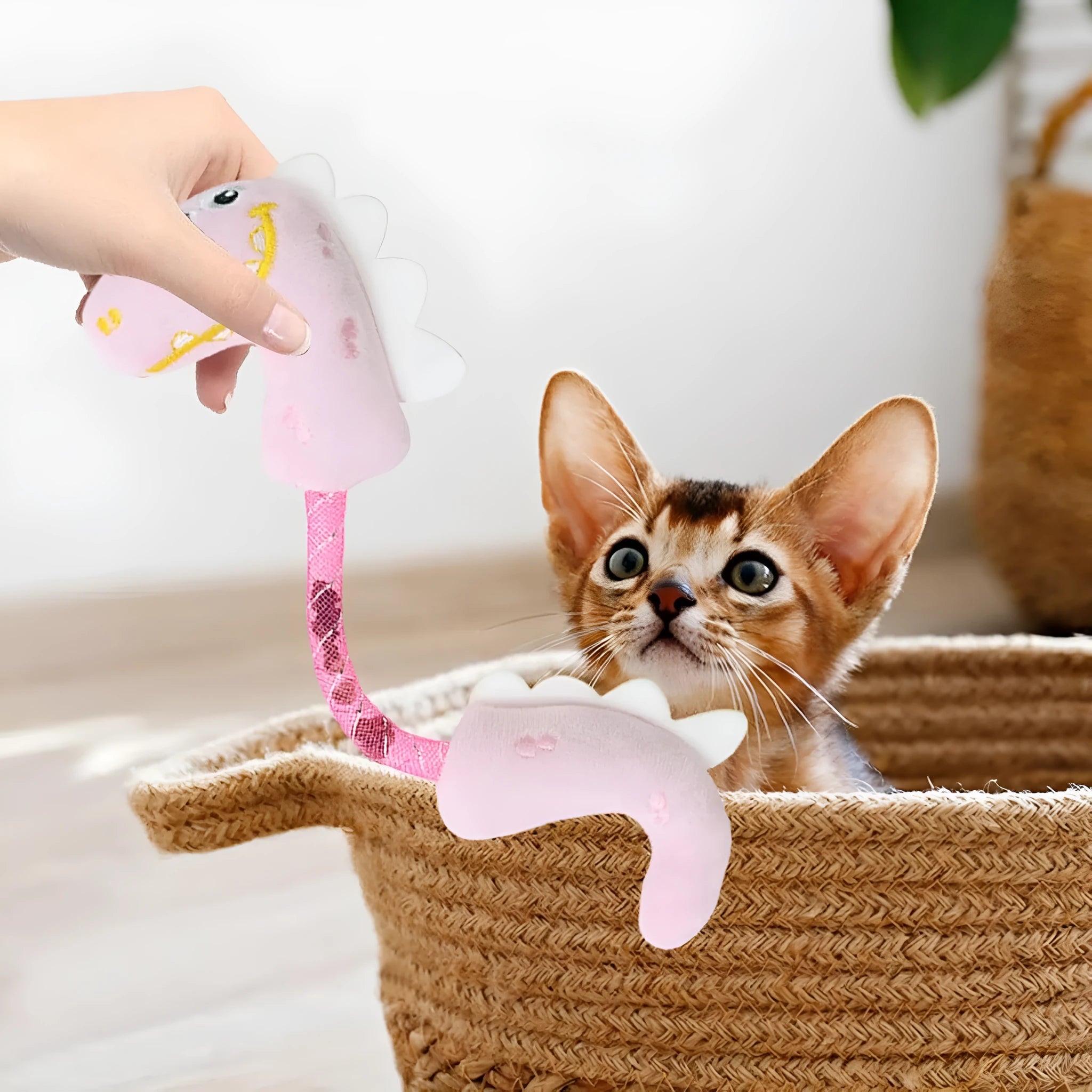 Set of four cat toys: plush fish, mouse, bunny, and a catnip rope on a plain background