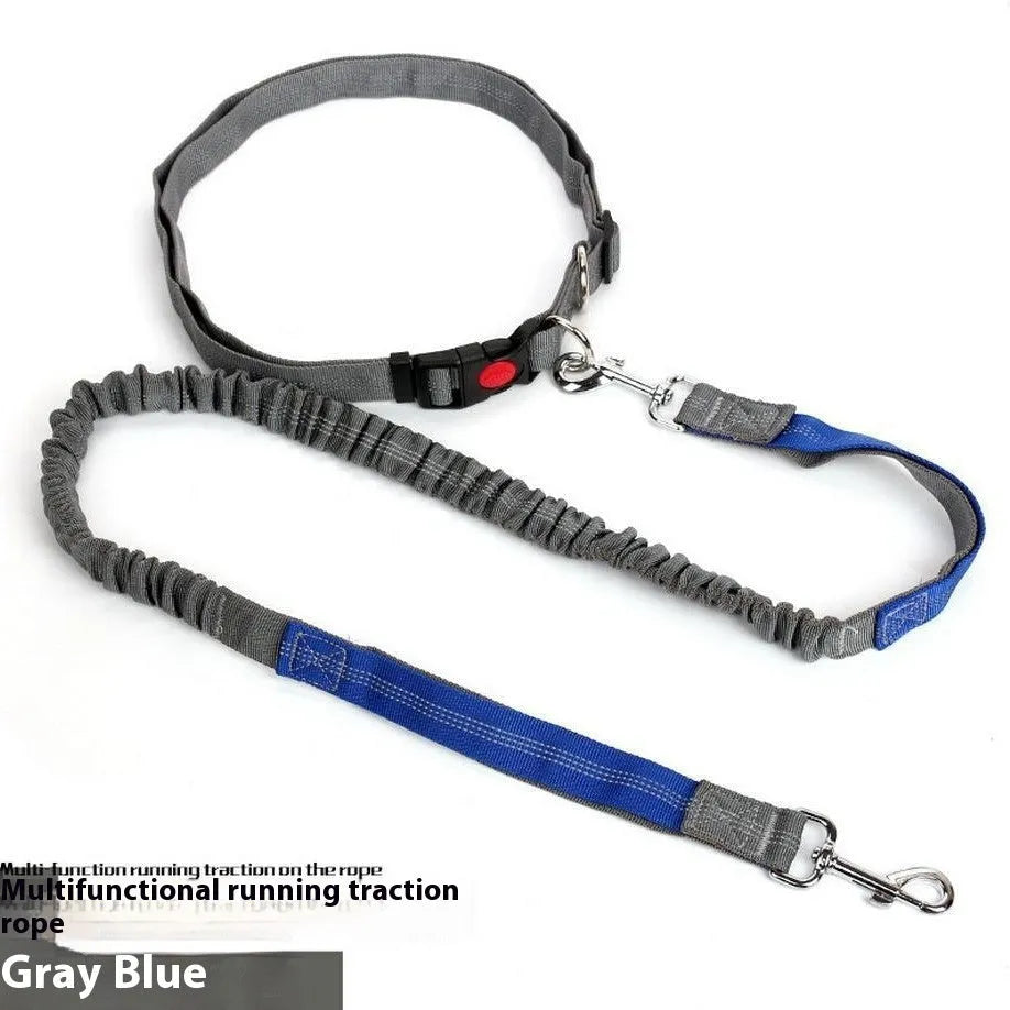 Grey and green elastic dog leash with reflective elements for night visibility during outdoor running