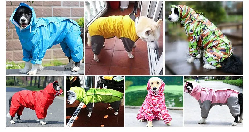Dogs all-inclusive PU raincoat in blue colour on a dog for wet weather protection