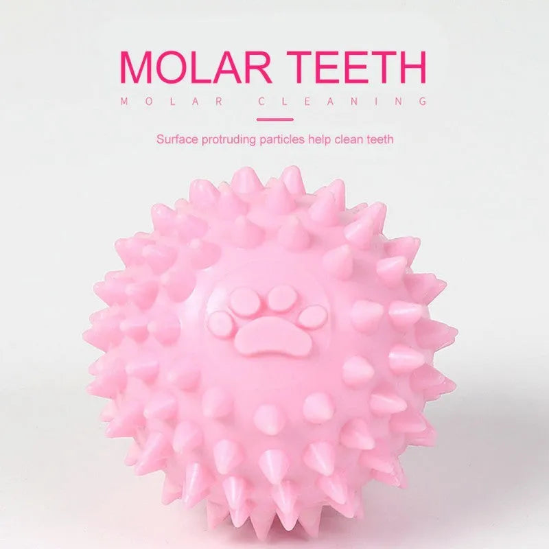 Blue TPR pet chewing ball with textured surface for dental cleaning, 6cm diameter