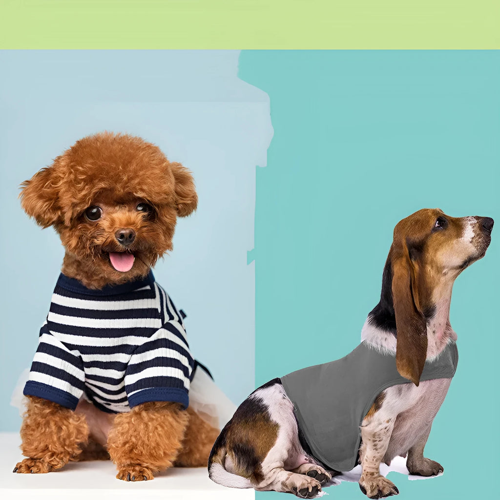 Acrylic pet anxiety jacket vest for cats and dogs in summer colours with plush toy