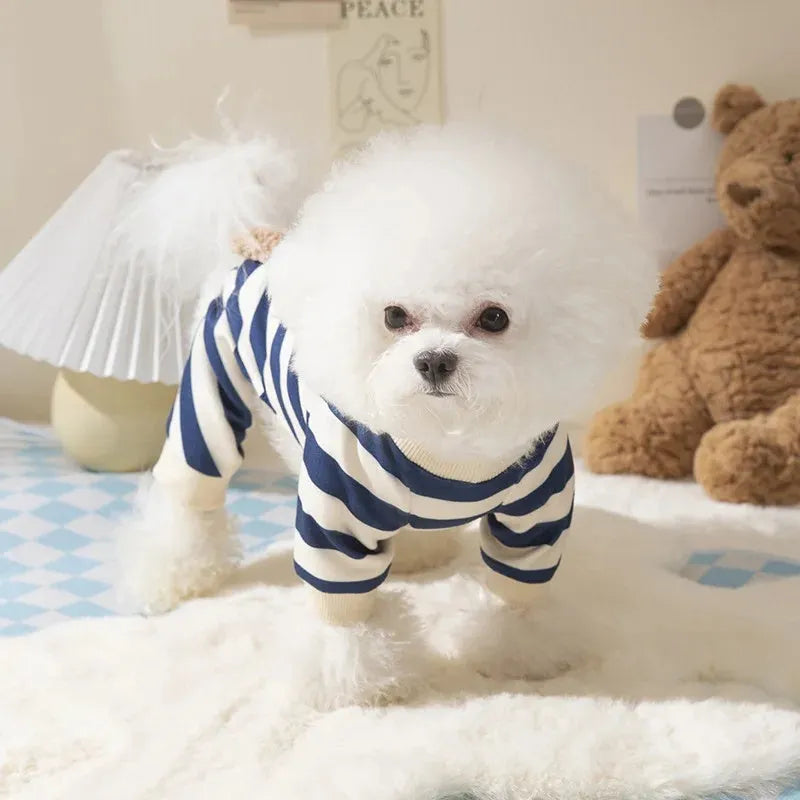 Blue striped bear four-legged pet pyjamas on a small dog with pullover round neck and long sleeves