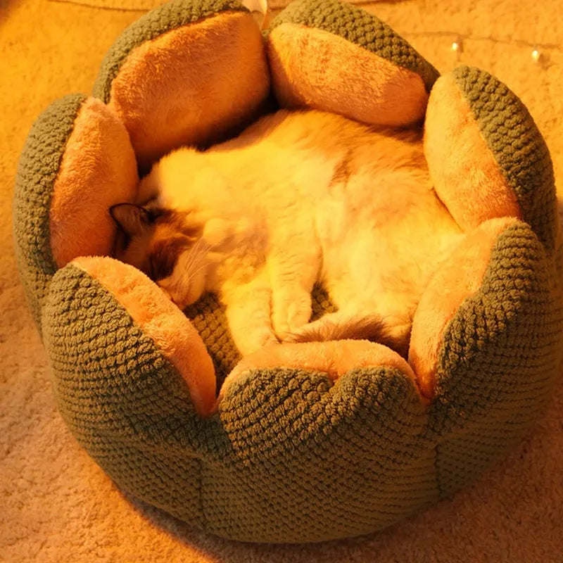Green cactus petal shaped plush dog bed with a non-slip bottom on a wooden floor.
