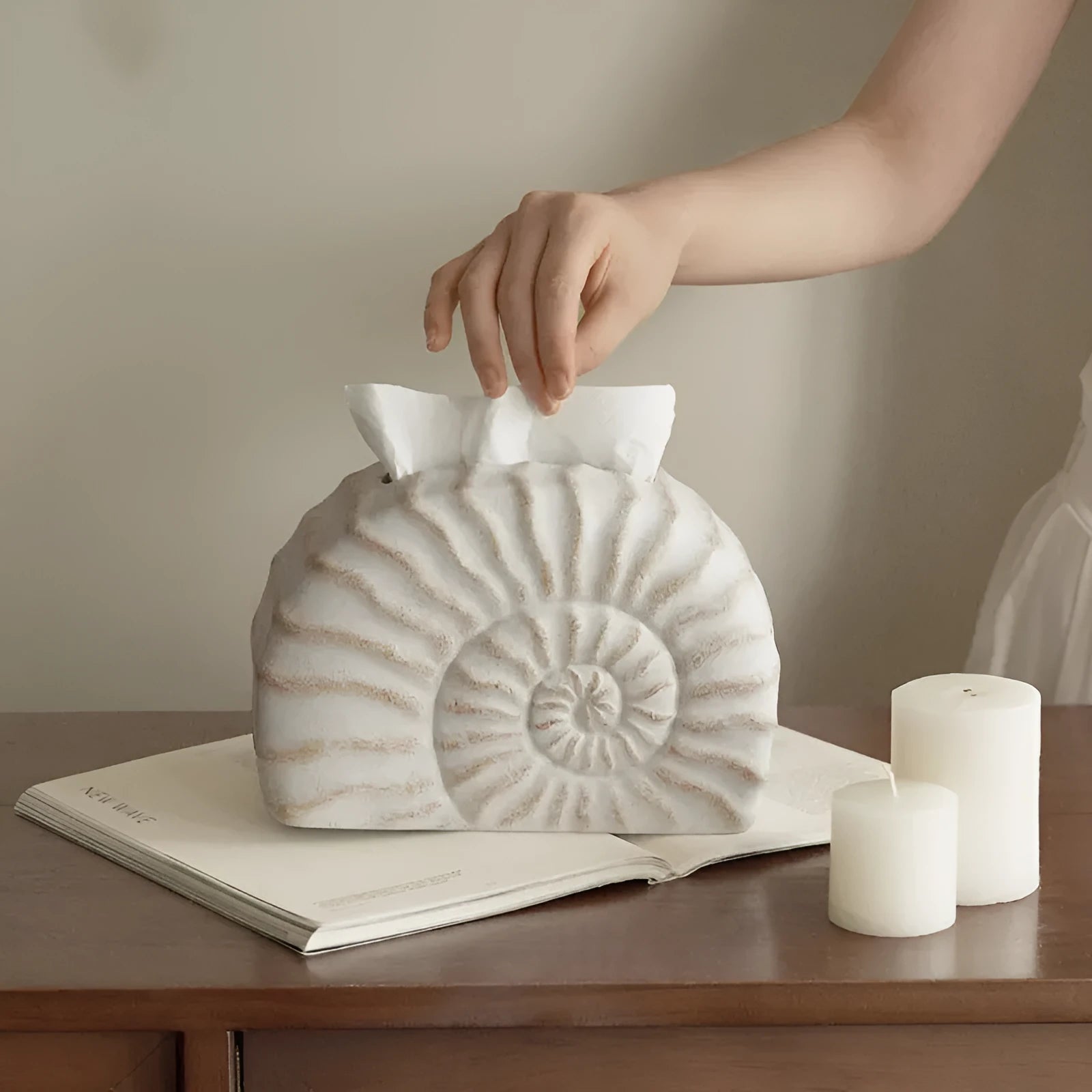 Conch ramble coloured resin decorative tissue box cover with a modern simple design.