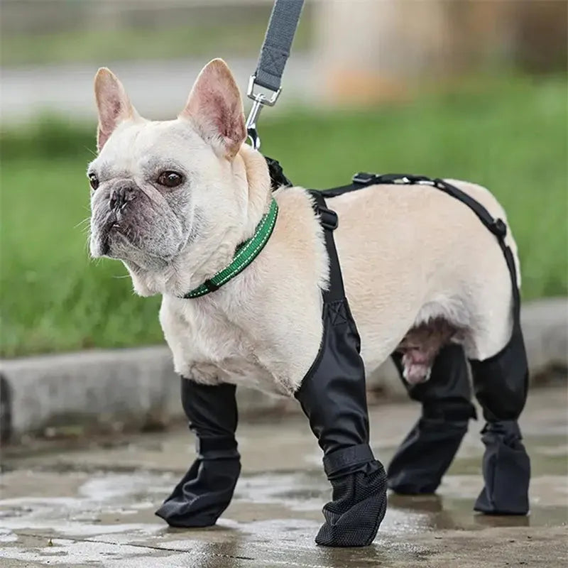 Black waterproof dog shoes with adjustable buckle and non-slip sole on surface