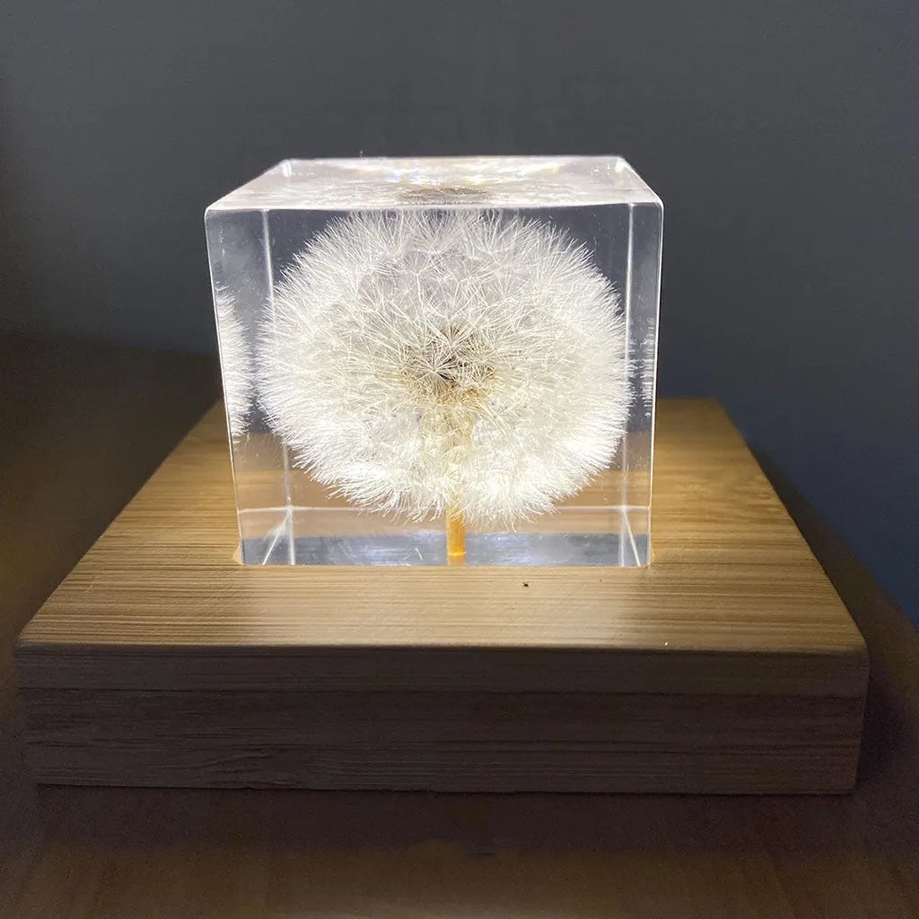 5cm clear resin cube containing preserved dandelion with wooden box and USB charging base