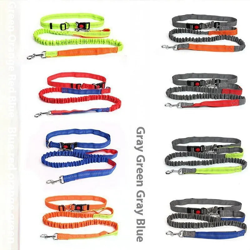 Grey and green elastic dog leash with reflective elements for night visibility during outdoor running