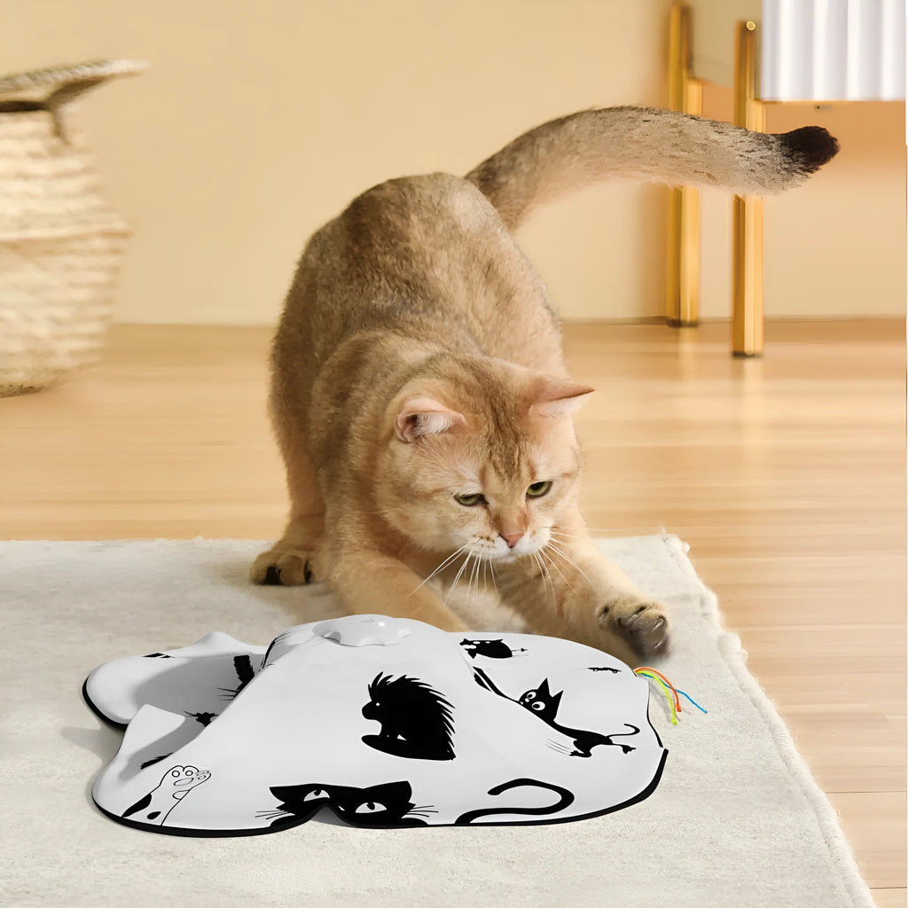 Plastic self-hitting cat teaser toy showing picture colour design and automatic mechanism