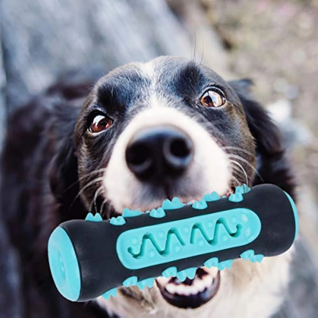 Natural rubber dog dental chew toy with textured cleaning surfaces, 15cm long, in blue colour