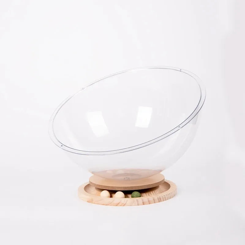 Transparent acrylic space capsule cat bed with wooden base in multiple size options