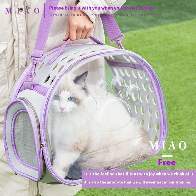 Transparent hard-sided cat carrier backpack in lake blue colour showing interior space and backpack straps
