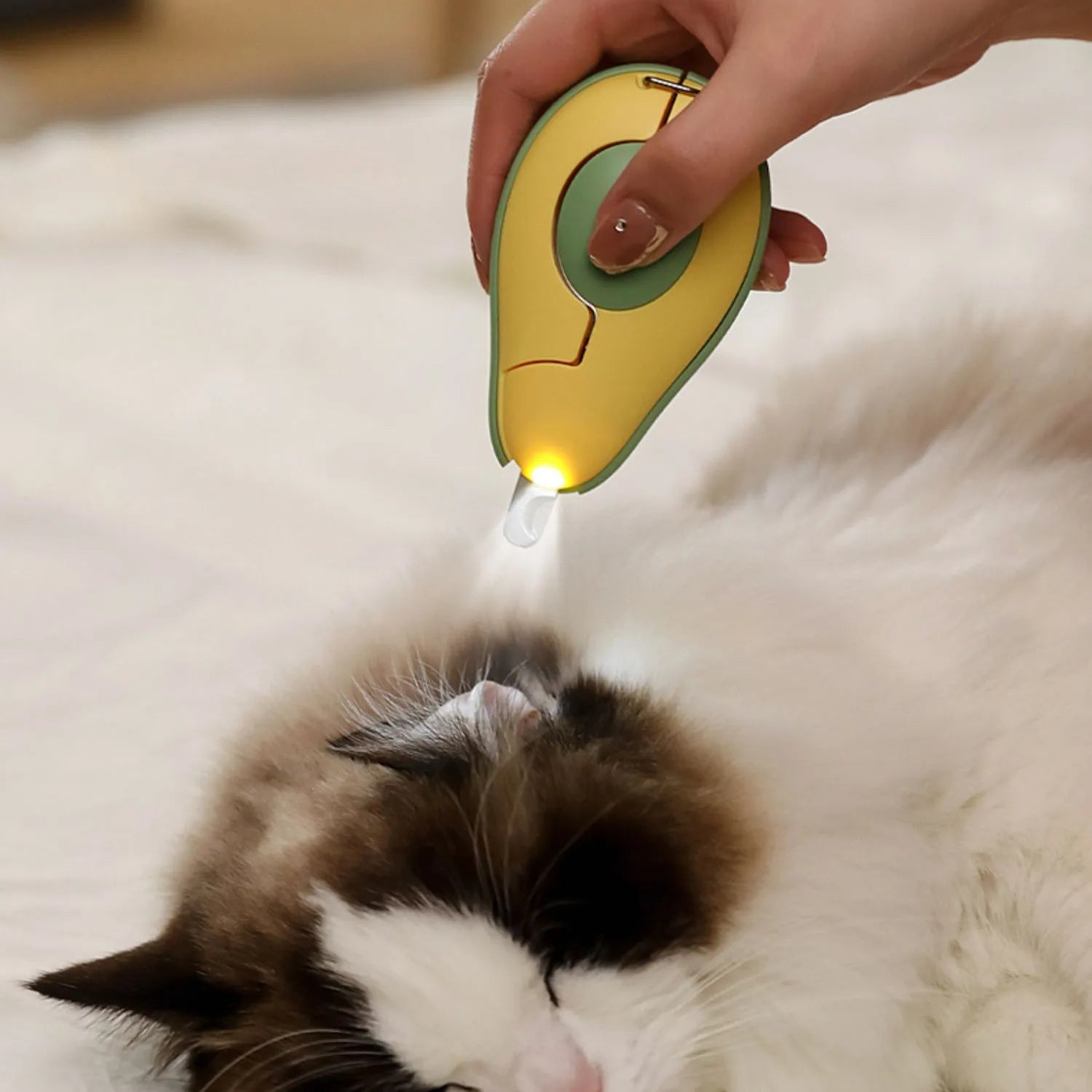 LED light pet nail clipper for small dogs and cats in grooming scissors design