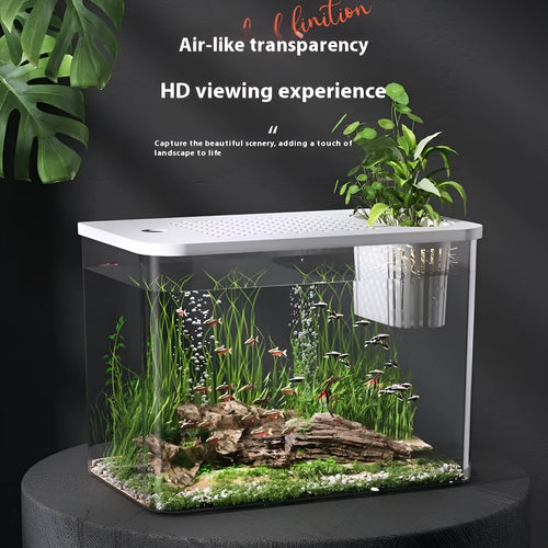Medium plastic betta fish tank with cover in black or white colour option